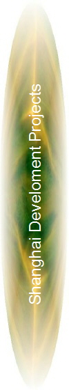 Shanghai Develoment Projects